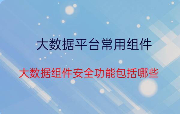 大数据平台常用组件 大数据组件安全功能包括哪些？